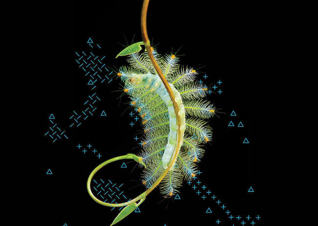 FACTS © Université de Bordeaux